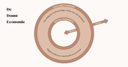 De Donuteconomie van Kate Raworth